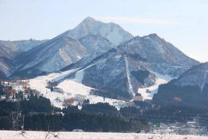 写真：上田富士