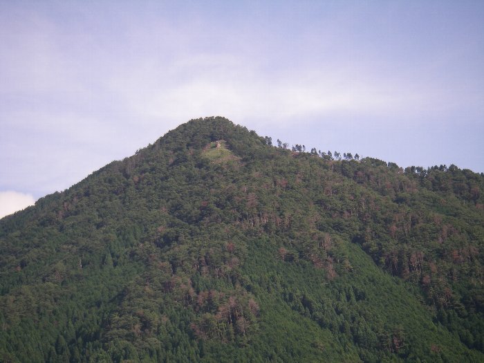 写真：千種富士