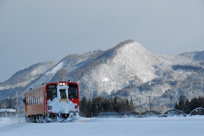 写真：前田富士