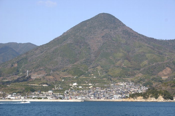 写真：大島富士