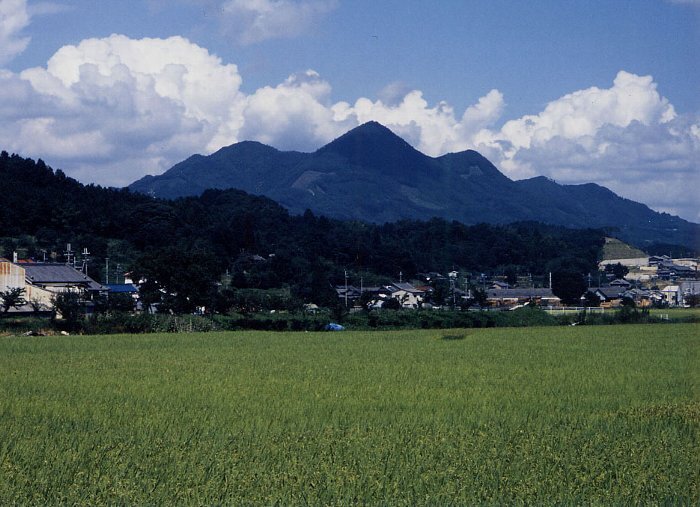 写真：大和富士