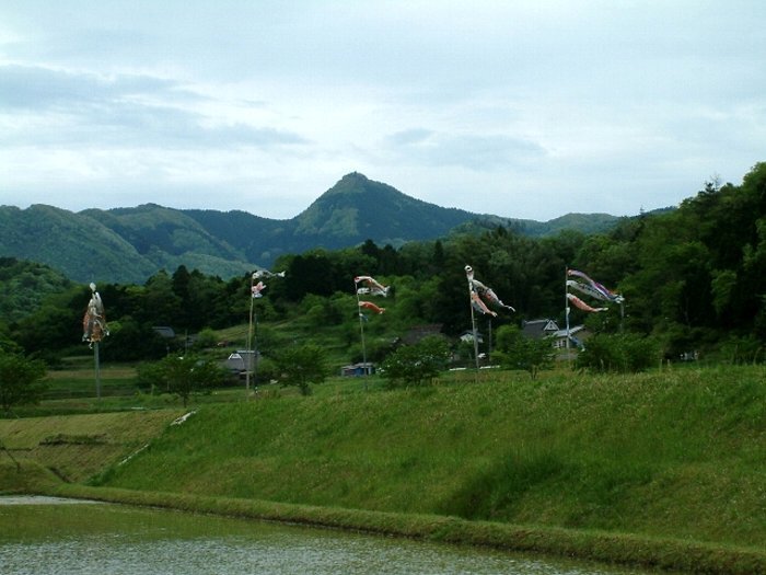 写真：丹波富士