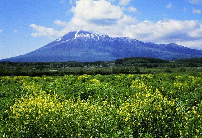 写真：南部片富士