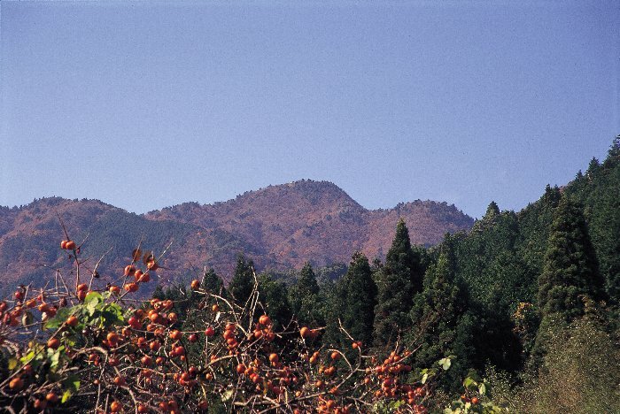 写真：播磨富士