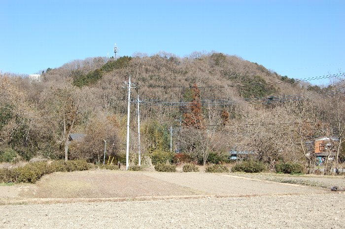 写真：富士山