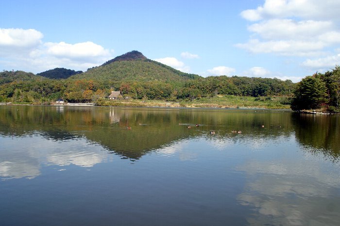 写真：有馬富士