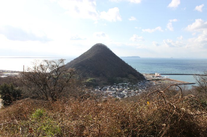 写真：有明富士