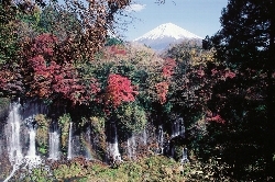 写真：紅葉と富士山