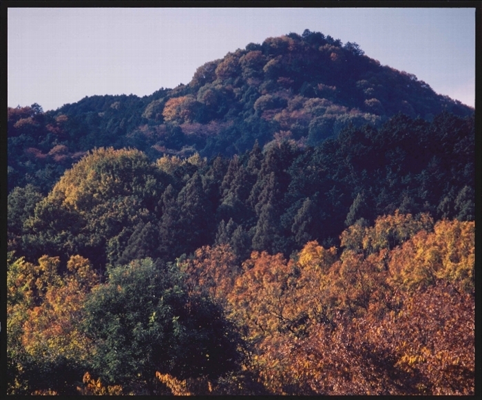 写真：平沢富士