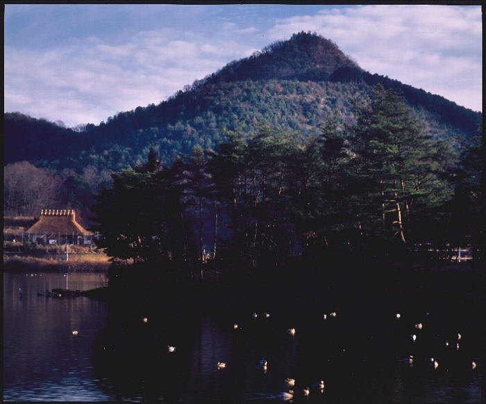 写真：有馬富士