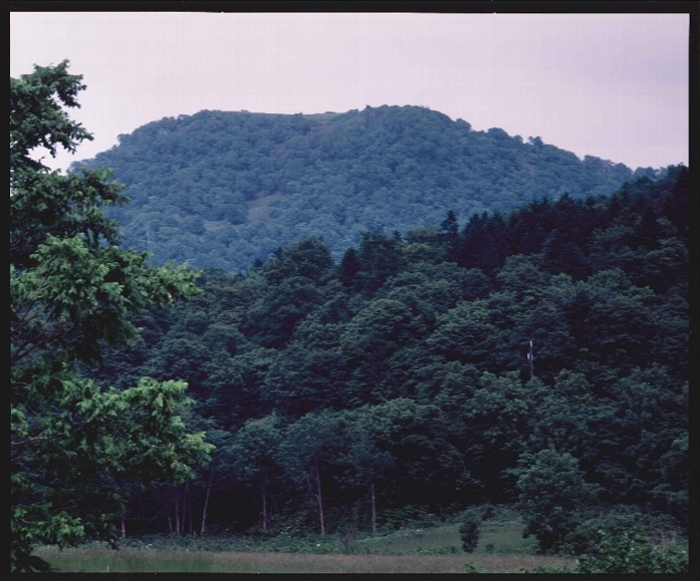 写真：音威富士