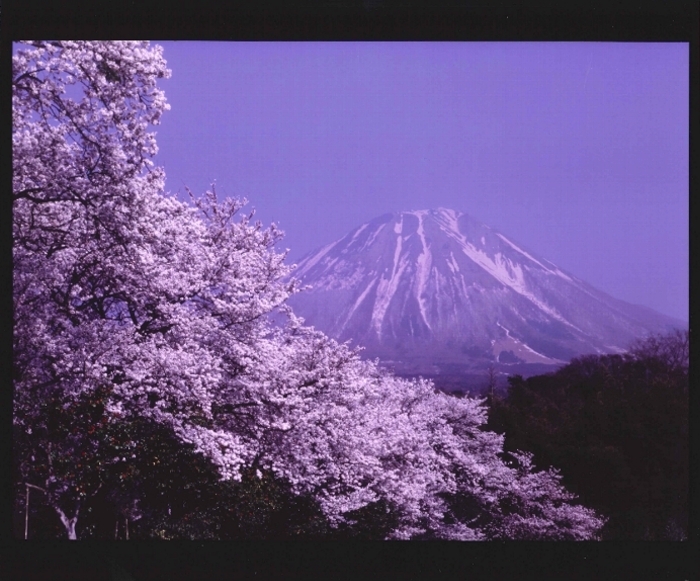 写真：伯耆富士