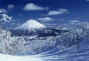 写真：富士山