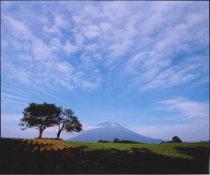 写真：蝦夷富士