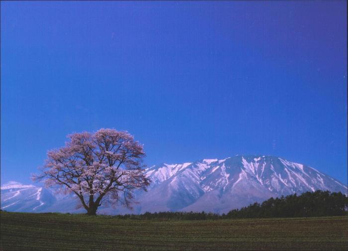 写真：南部片富士