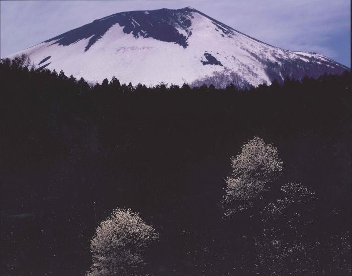 写真：南部片富士