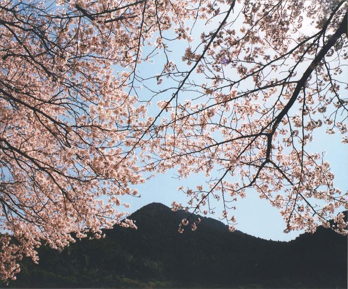 写真：近江富士