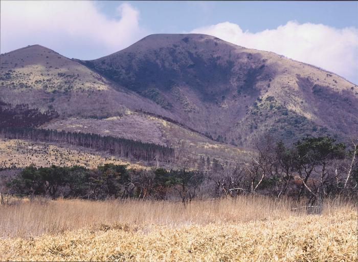 写真：小国富士