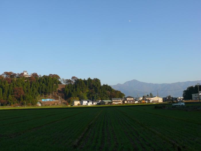 写真：大野富士