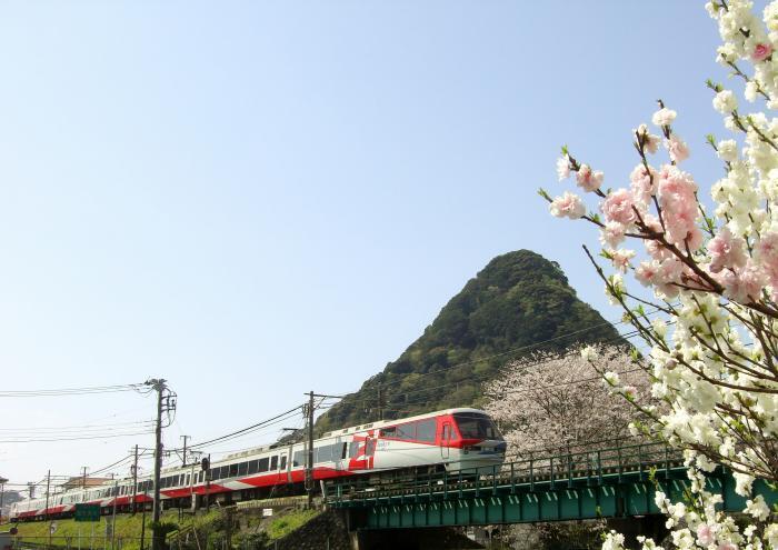 写真：下田富士