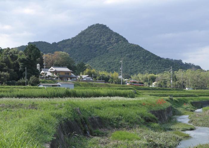 写真：有馬冨士