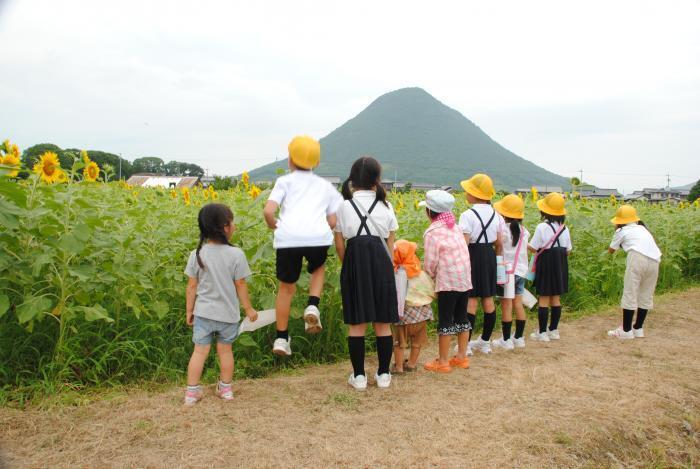 写真：讃岐富士