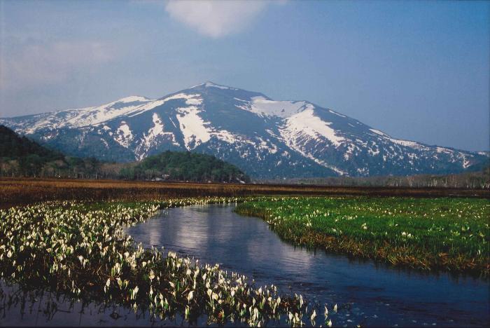 写真：尾瀬の西富士