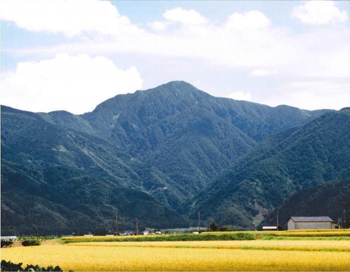 写真：大野富士