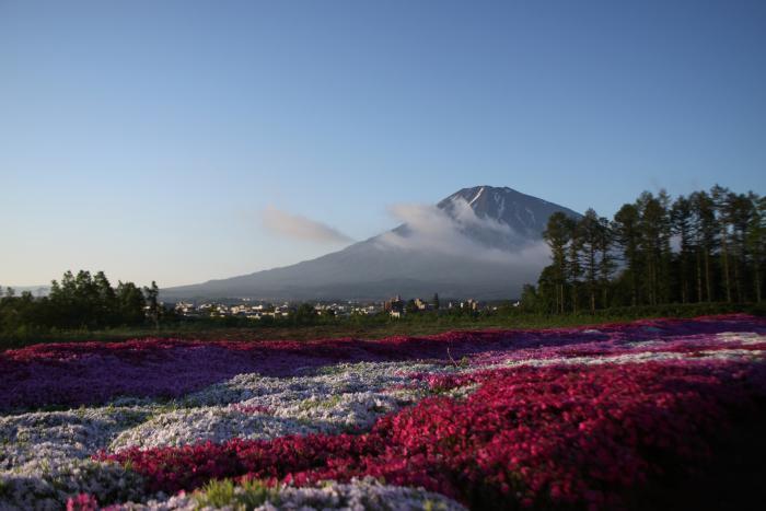 写真：蝦夷富士