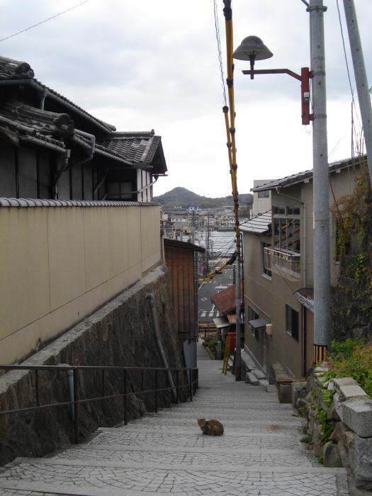 写真：向島富士