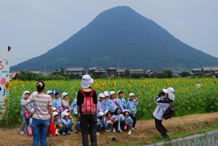 写真：讃岐富士