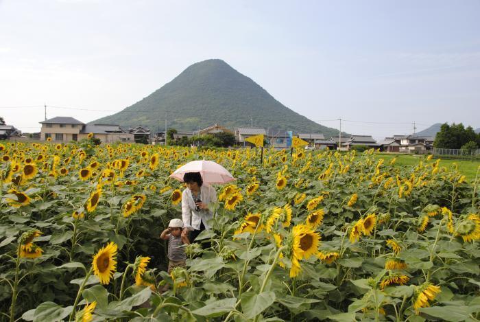 写真：讃岐富士