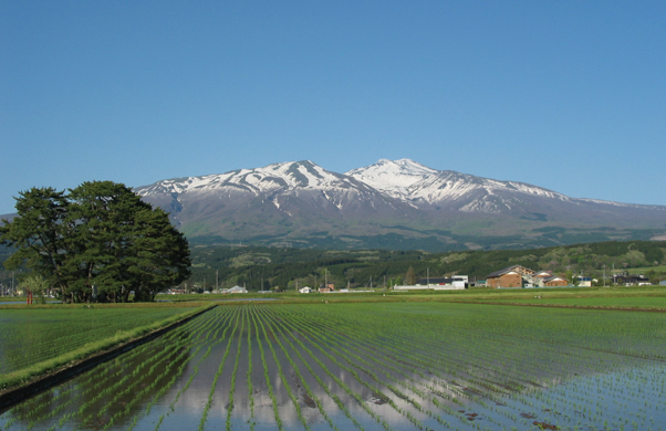 写真：出羽富士［鳥海山］