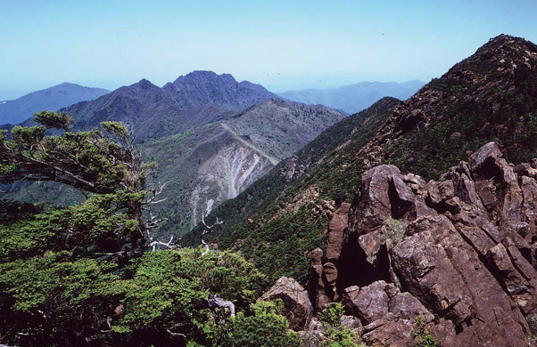 写真：伊予小富士／小富士［赤星山］