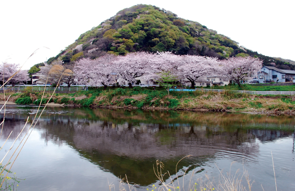 写真：平塚富士［高麗山］