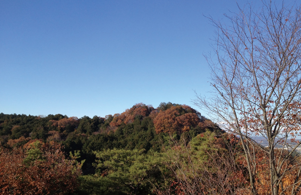 写真：平沢富士［富士山］