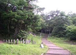 写真：吉田口登山道