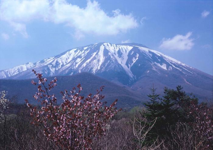 写真：南部富士