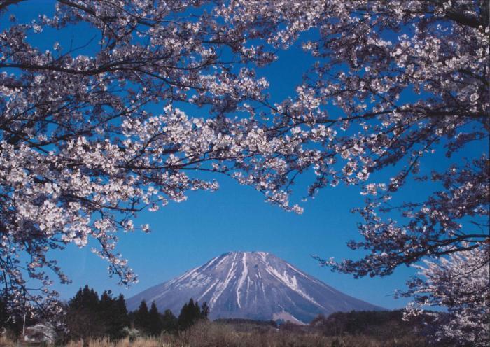 写真：伯耆富士