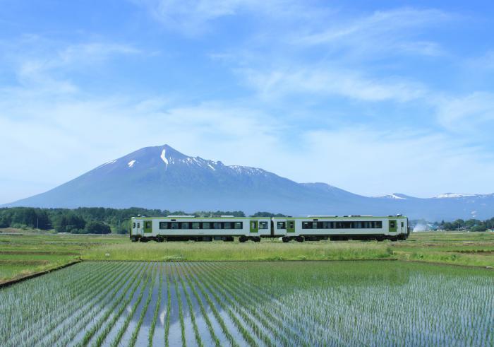 写真：南部富士