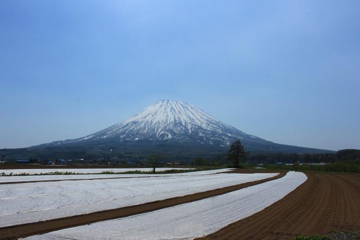 写真：蝦夷富士