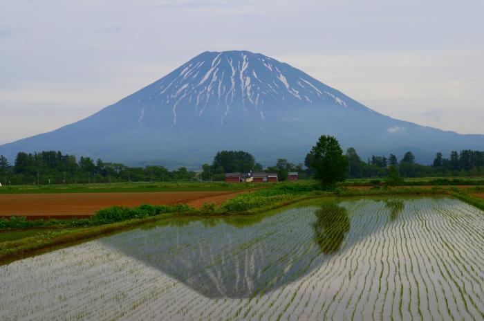 写真：蝦夷富士