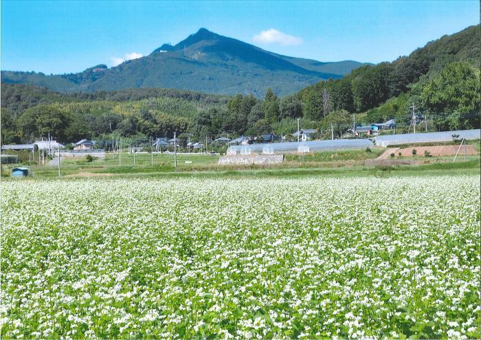 写真：筑波富士