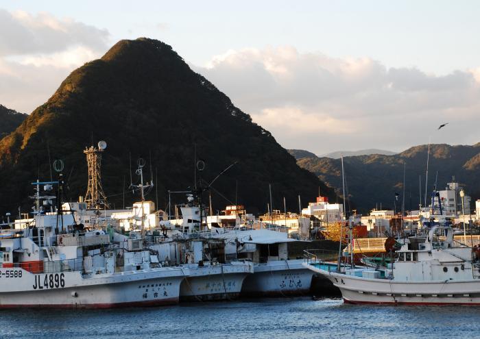 写真：下田富士