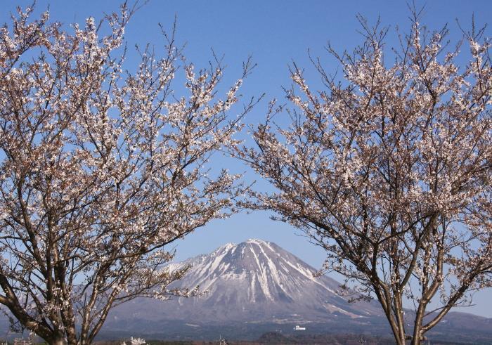 写真：伯耆富士