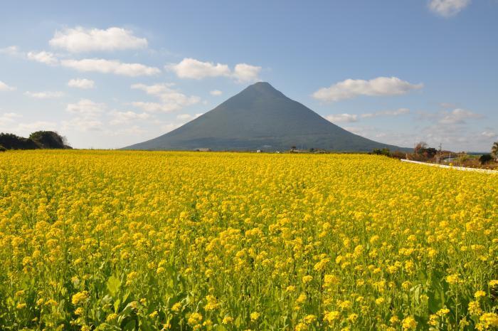 写真：薩摩富士