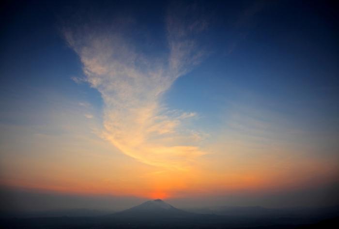 写真：南部富士