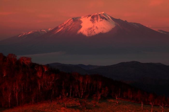 写真：南部富士