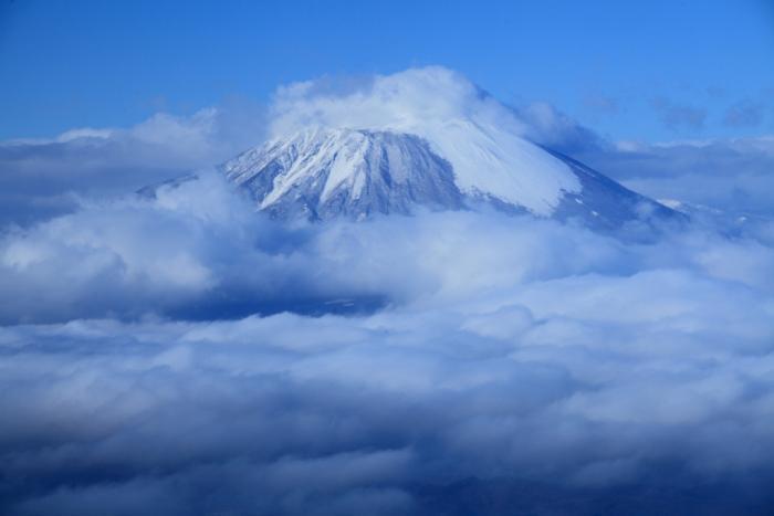 写真：南部富士