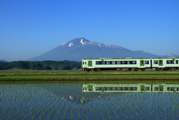 写真：南部富士